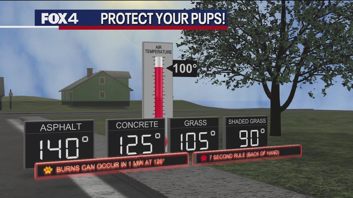 Hot weather safety